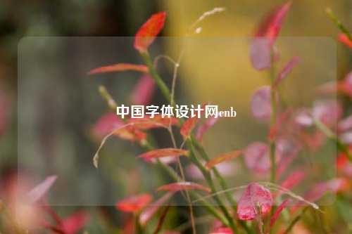 中国字体设计网cnb