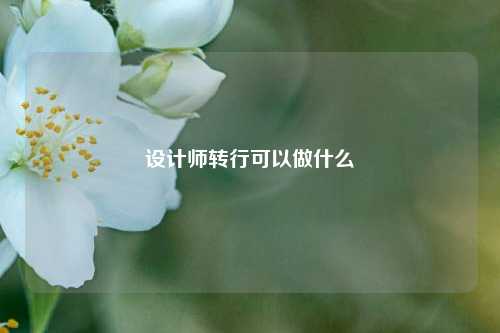 设计师转行可以做什么