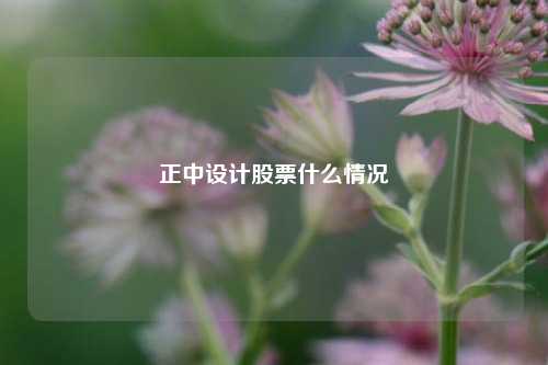 正中设计股票什么情况