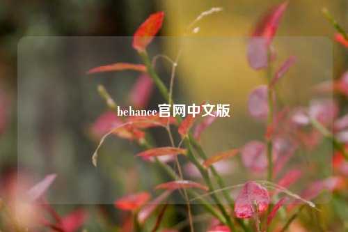 behance官网中文版