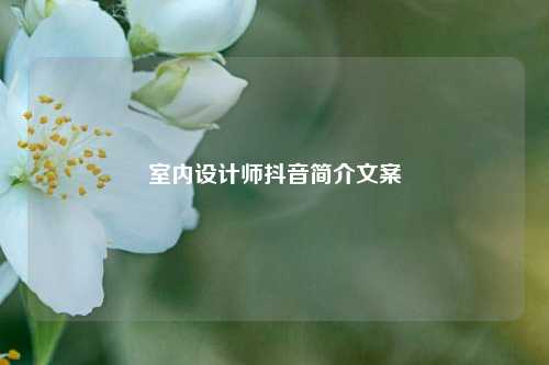 室内设计师抖音简介文案