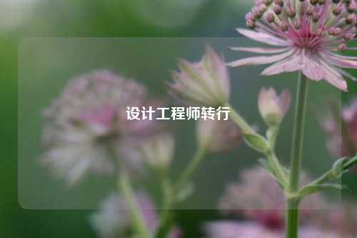 设计工程师转行