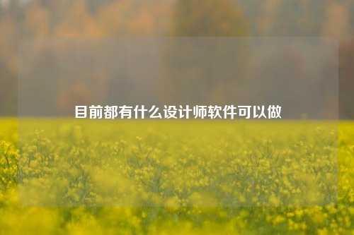 目前都有什么设计师软件可以做