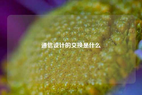 通信设计的交换是什么