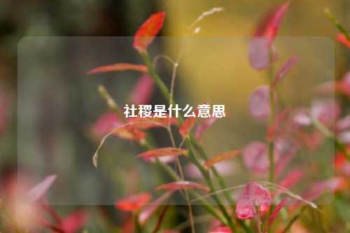 社稷是什么意思