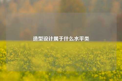 造型设计属于什么水平类