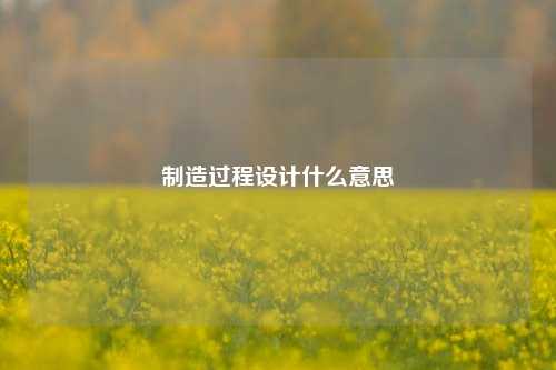 制造过程设计什么意思