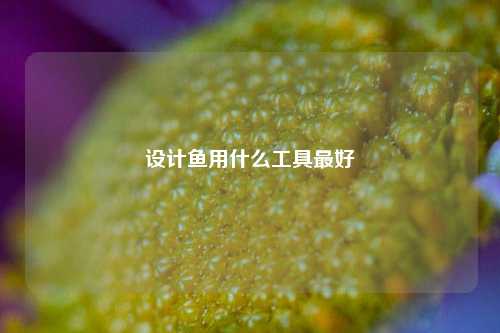 设计鱼用什么工具最好