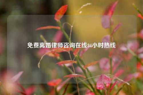 免费离婚律师咨询在线24小时热线