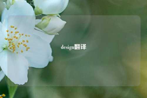 design翻译