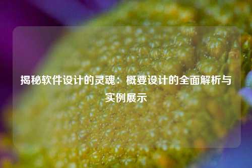 揭秘软件设计的灵魂：概要设计的全面解析与实例展示