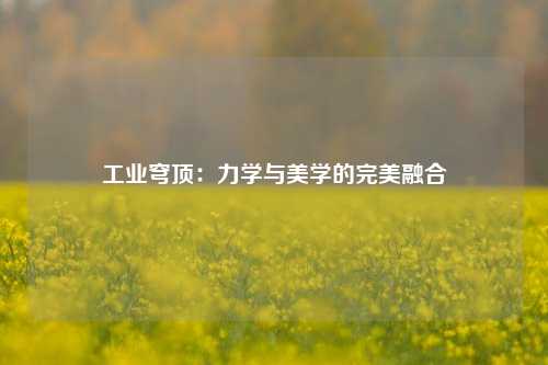 工业穹顶：力学与美学的完美融合