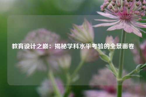 教育设计之巅：揭秘学科水平考验的全景画卷