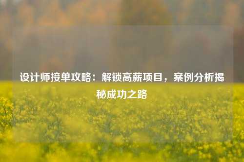 设计师接单攻略：解锁高薪项目，案例分析揭秘成功之路