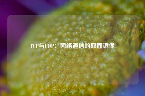 TCP与UDP：网络通信的双面镜像