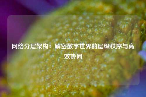 网络分层架构：解密数字世界的层级秩序与高效协同