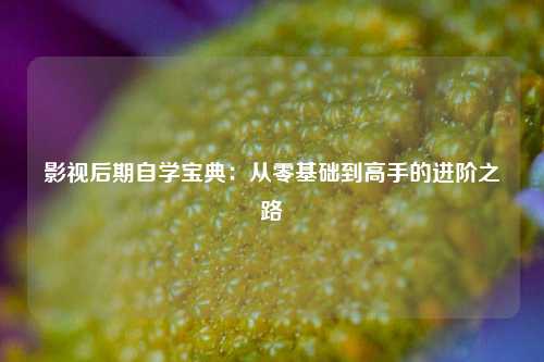 影视后期自学宝典：从零基础到高手的进阶之路