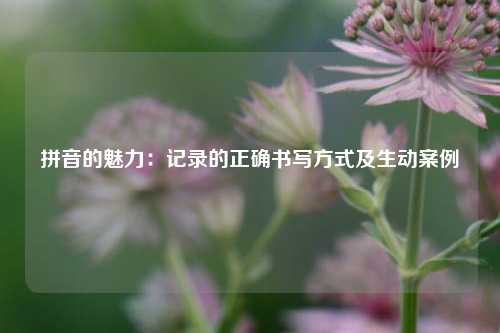 拼音的魅力：记录的正确书写方式及生动案例