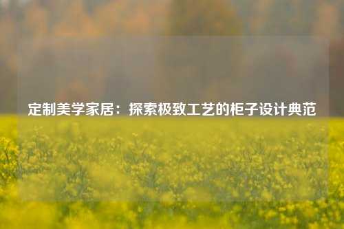 定制美学家居：探索极致工艺的柜子设计典范