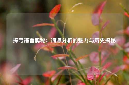 探寻语言奥秘：词源分析的魅力与历史揭秘