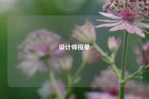 设计师接单